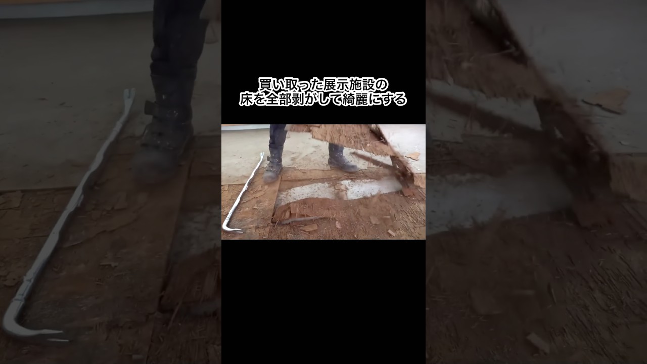 爬虫類館の床を全部剥がす #shorts