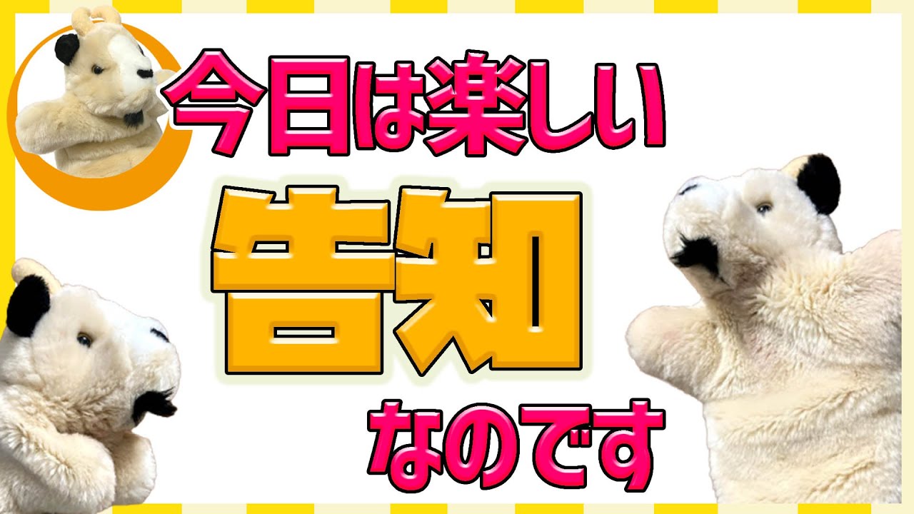 【こやぎ先生の告知!!】新しいことが始まりますよ～^^という告知です。