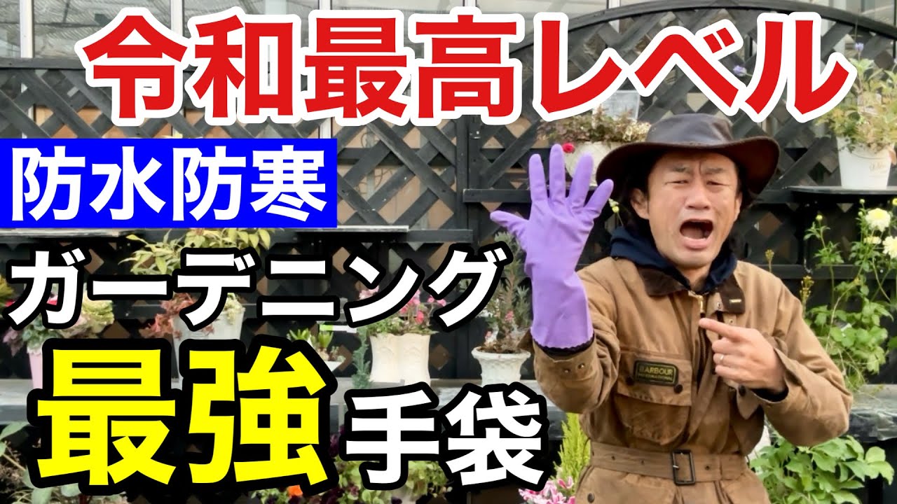 【最強防寒手袋】今日からあなたの園芸ライフが激変します　　　　　　　　【カーメン君】【ガーデニング】【ワークマン】【DCM】