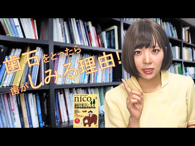 歯石って何か知ってる？歯石を取ったら歯がしみる理由は歯周病！？