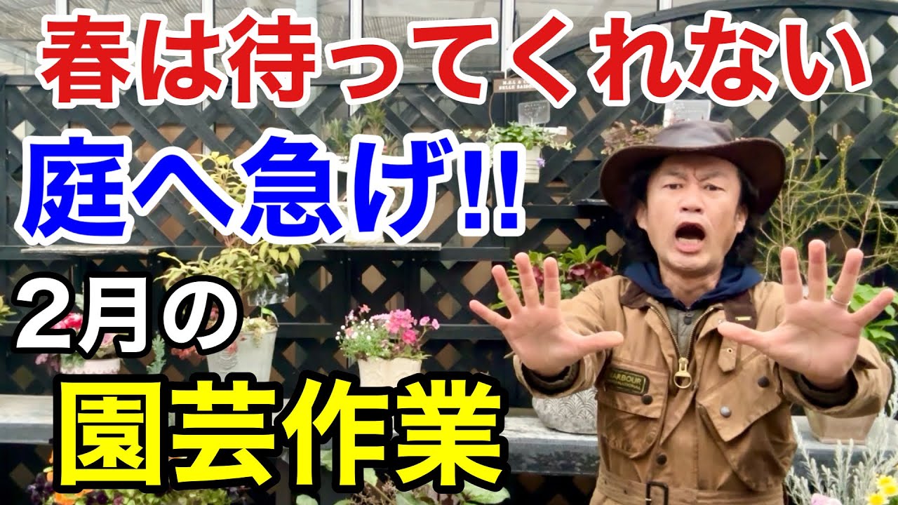 【どんどん動き出す】2月に必ずやるべき園芸作業教えます　【カーメン君】【園芸】【ガーデニング】【初心者】