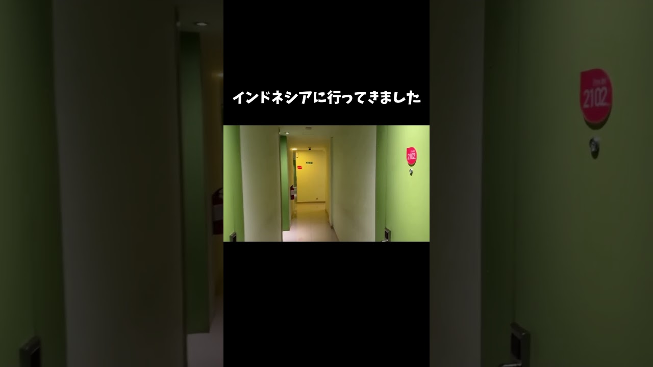 インドネシアに行ってきました #shorts