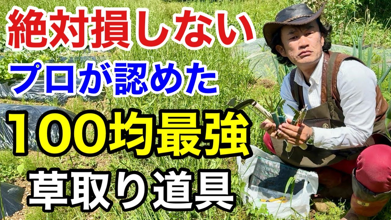 【全種レビュー】100均の草取り道具が正直とんでもない物ばかりだった。　【カーメン君】【ダイソー】【100均】【初心者】