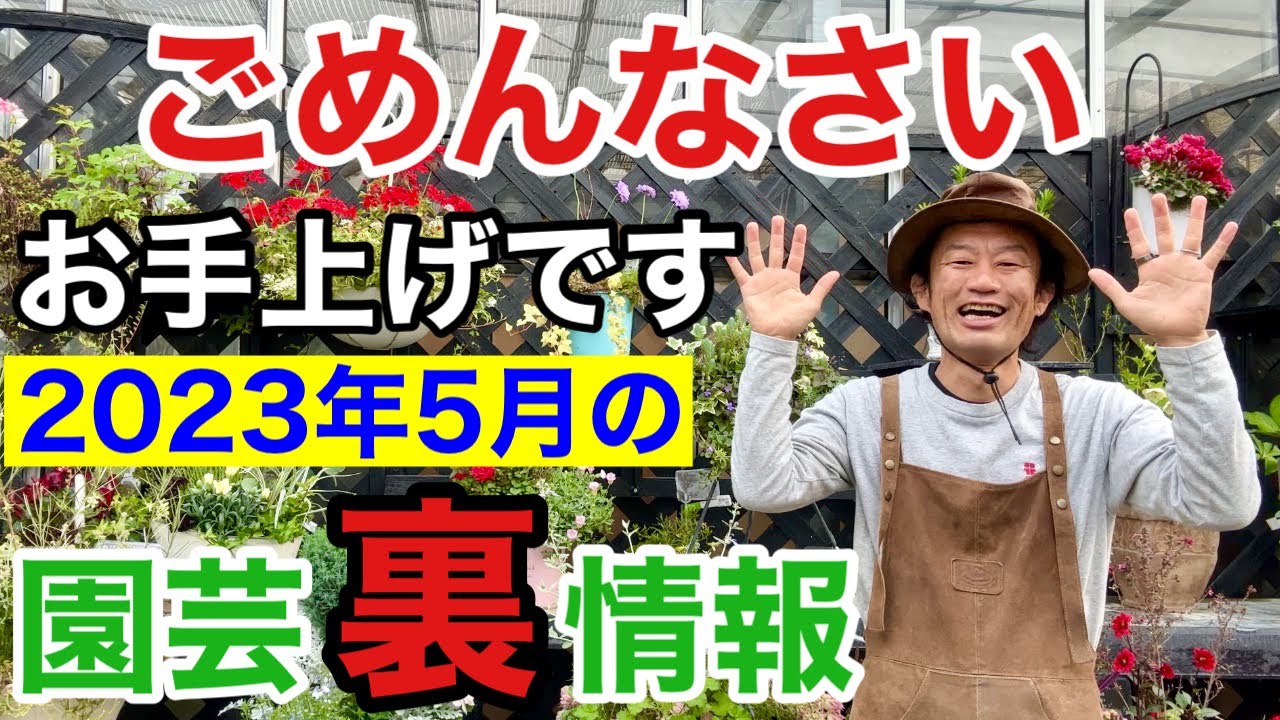 【元店長がばらす】2023年5月買って得する物損する物教えます　　　【カーメン君】【園芸】【ガーデニング】【初心者】