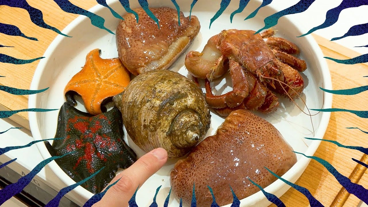 これ食べられるの？市場の奥からでてきた【500円】の謎魚介。味がやばすぎました。