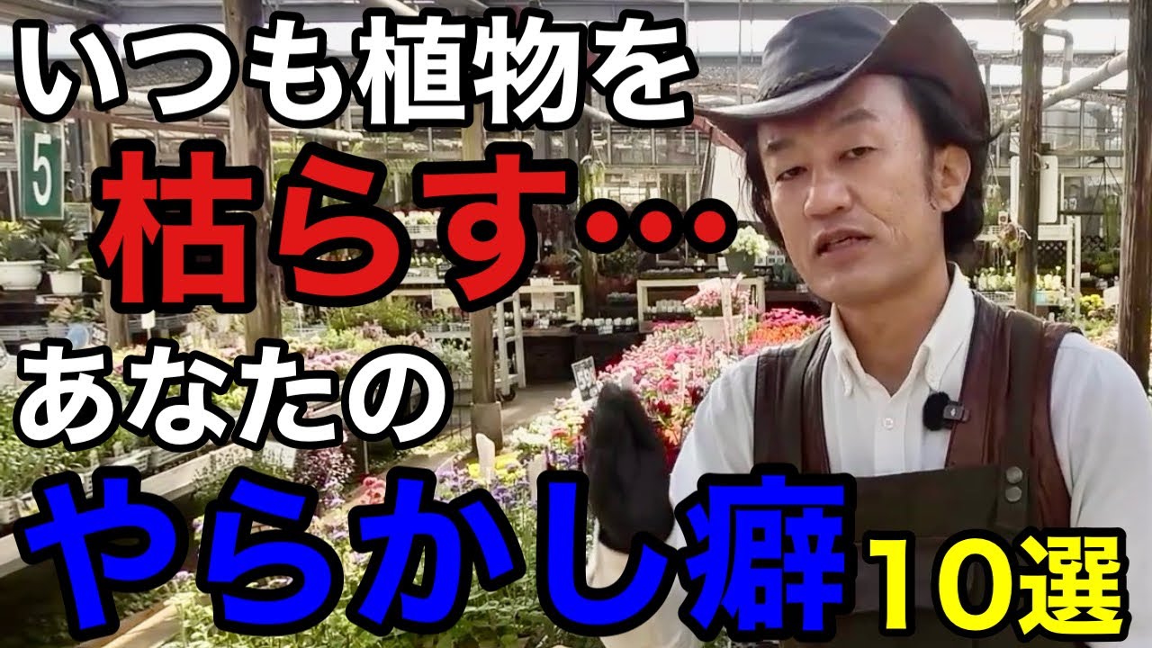 【当てはまってたらヤバい】この癖に気がつかないと一生ガーデニングは上達しません！　　【カーメン君】【園芸】【ガーデニング】【初心者】