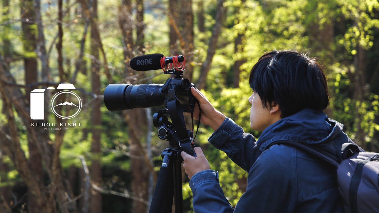 【風景写真】長野の雄大な森を映す ｜EOSR6