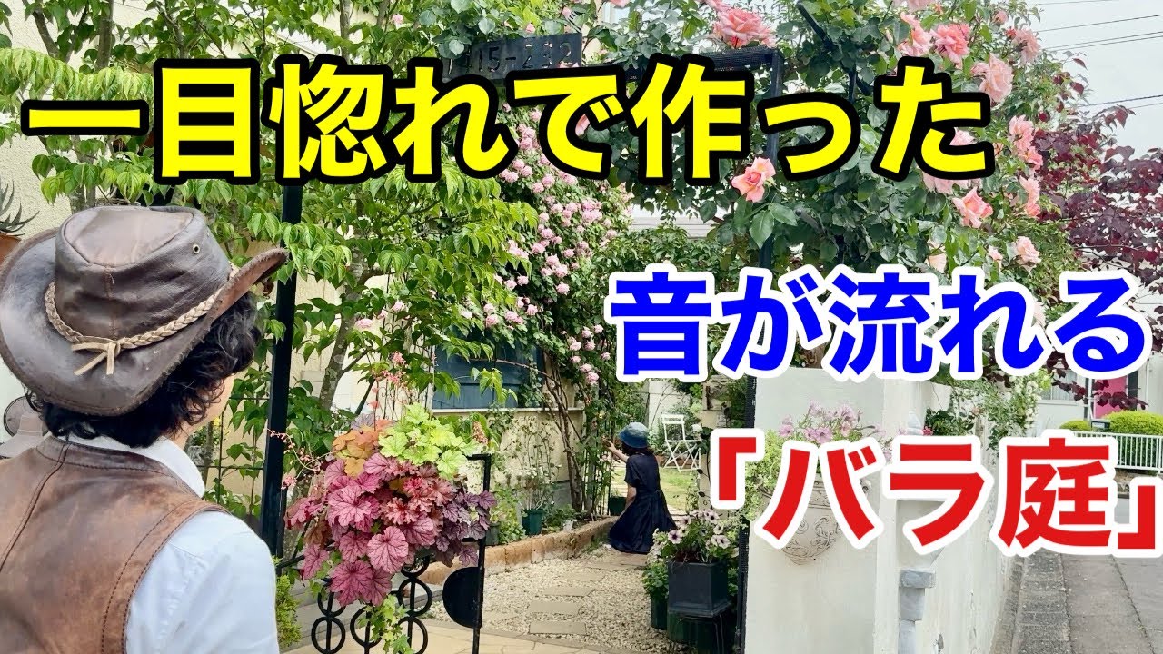 この商品が庭を変えた　バラと音に惚れ込んだ香川の素敵な個人庭　　【カーメン君】【園芸】【ガーデニング】【みすずさん】