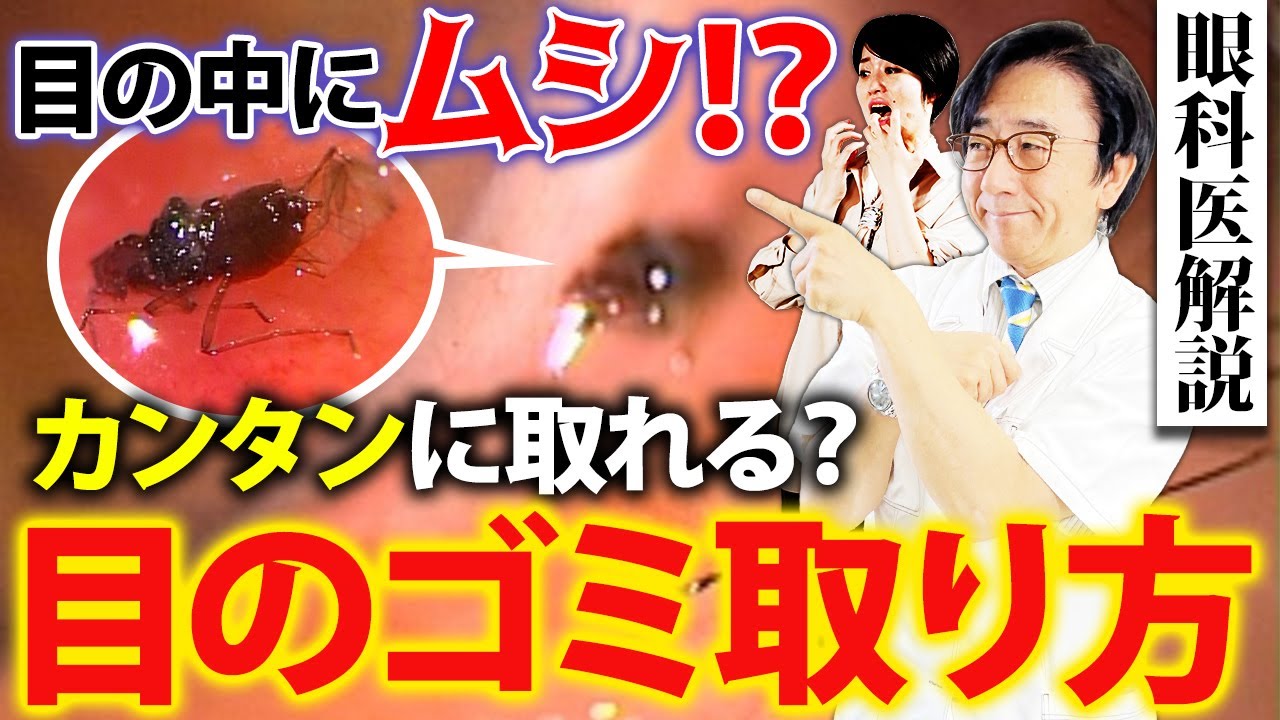 目に虫！？正しく取る方法教えます。