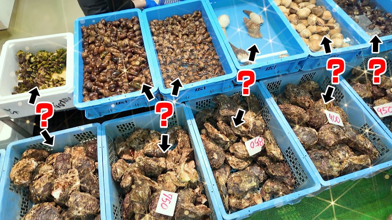 この中に【90%の人が知らない今がうまい貝】がいます