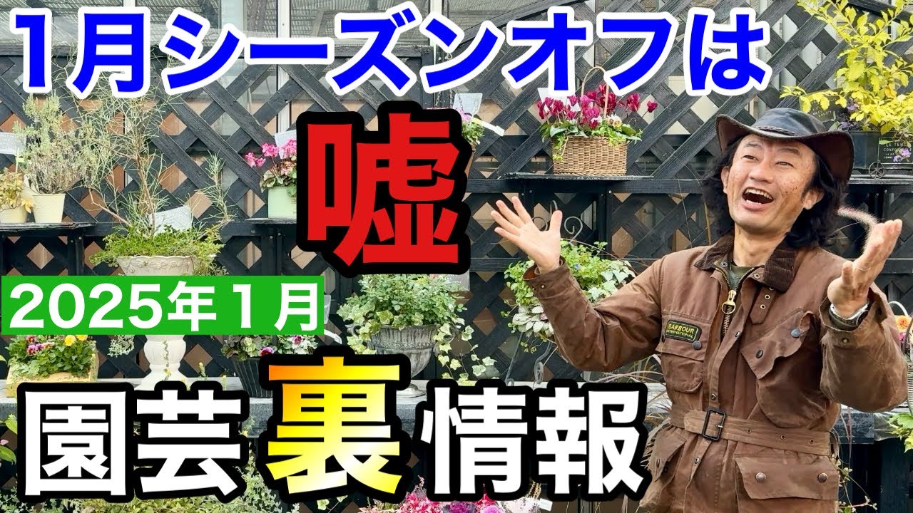 なんてこった…2025年は1月から〇〇が販売されます【カーメン君】【園芸】【ガーデニング】【初心者】