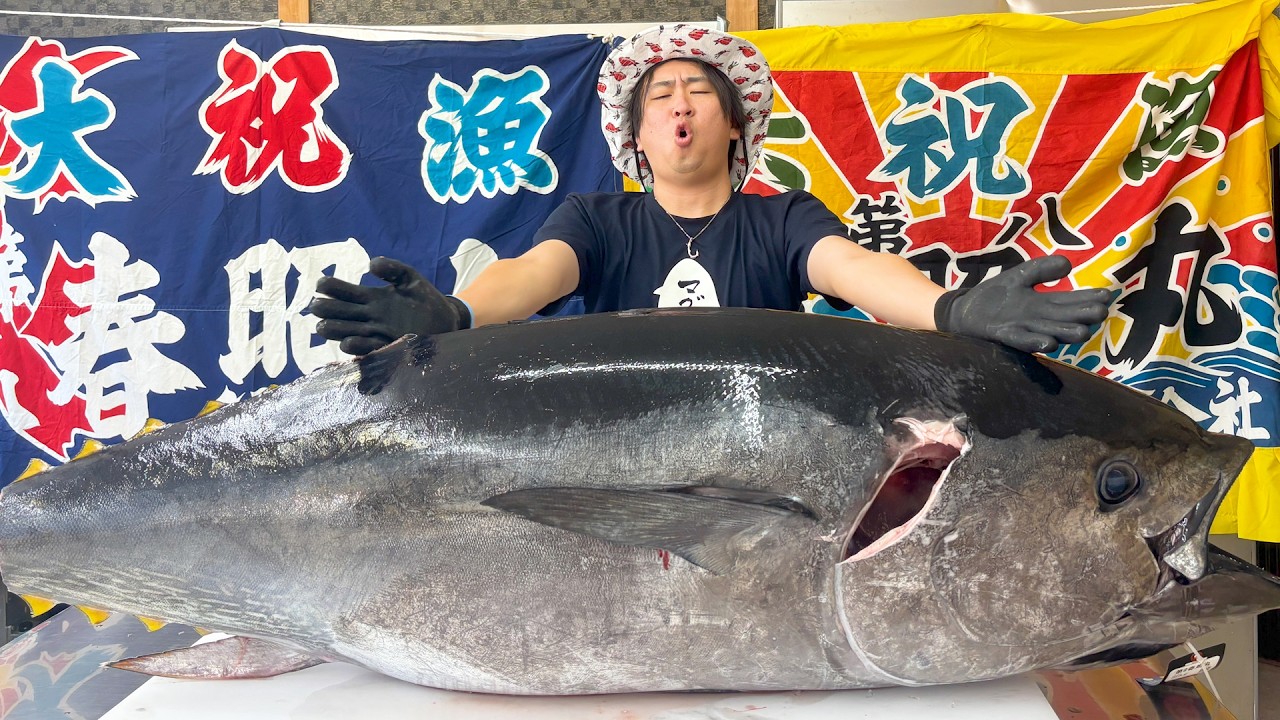 【奇跡】巨大なクロマグロを釣り上げてしまいました。