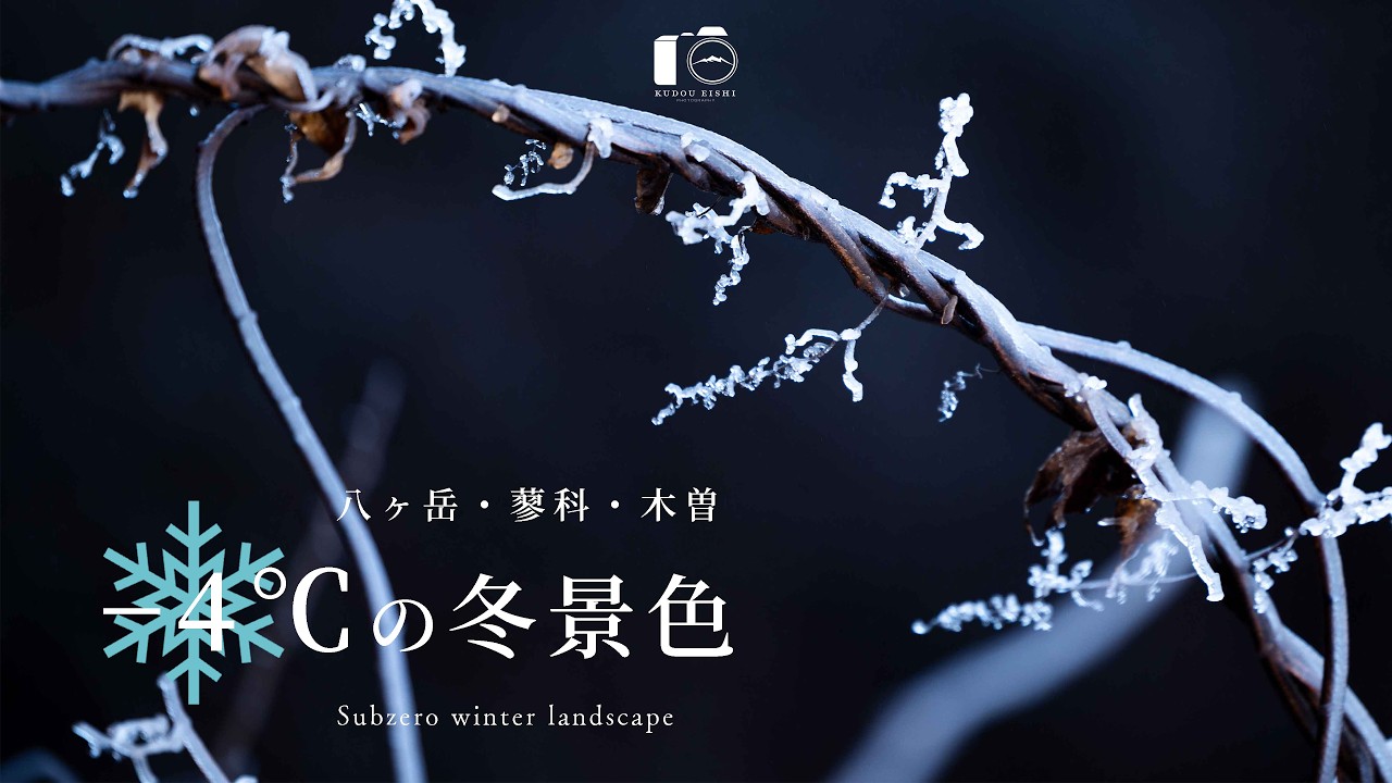 冬景色、霧氷・蓼科大滝・白川氷柱群を見に行こう。｜八ヶ岳（北杜・原村）・蓼科・木曽