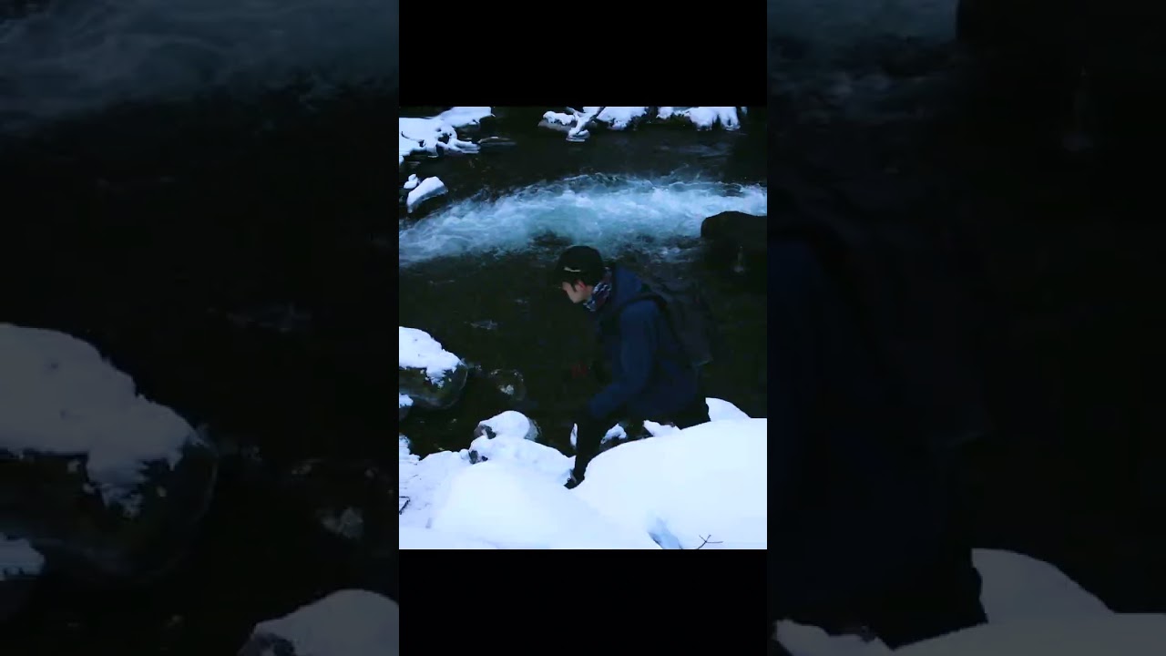 原生林の大滝 #shorts