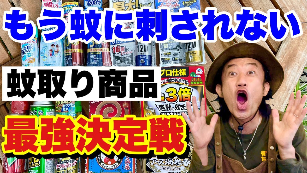 【これで解決】庭で効く最強の蚊取りグッズ教えます　　【カーメン君】【園芸】【ガーデニング】【初心者】