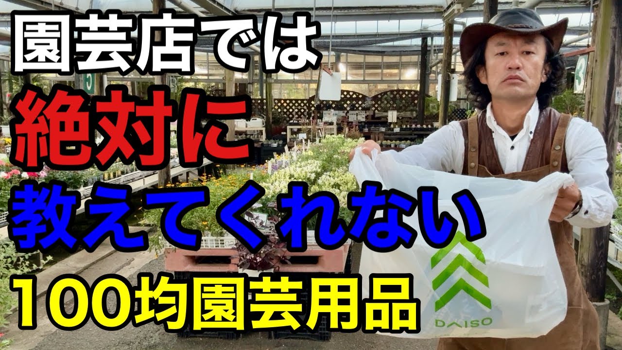 【100均ベストバイ】園芸のプロがいつも使ってる優秀アイテム１１選　　【カーメン君】【園芸】【ガーデニング】【ダイソー】