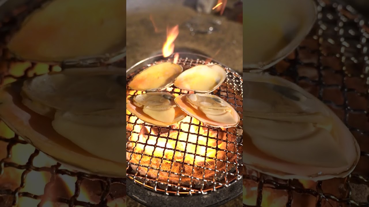 【七輪】白貝の炭火焼きがうますぎた！#asmr #bbq #seafood