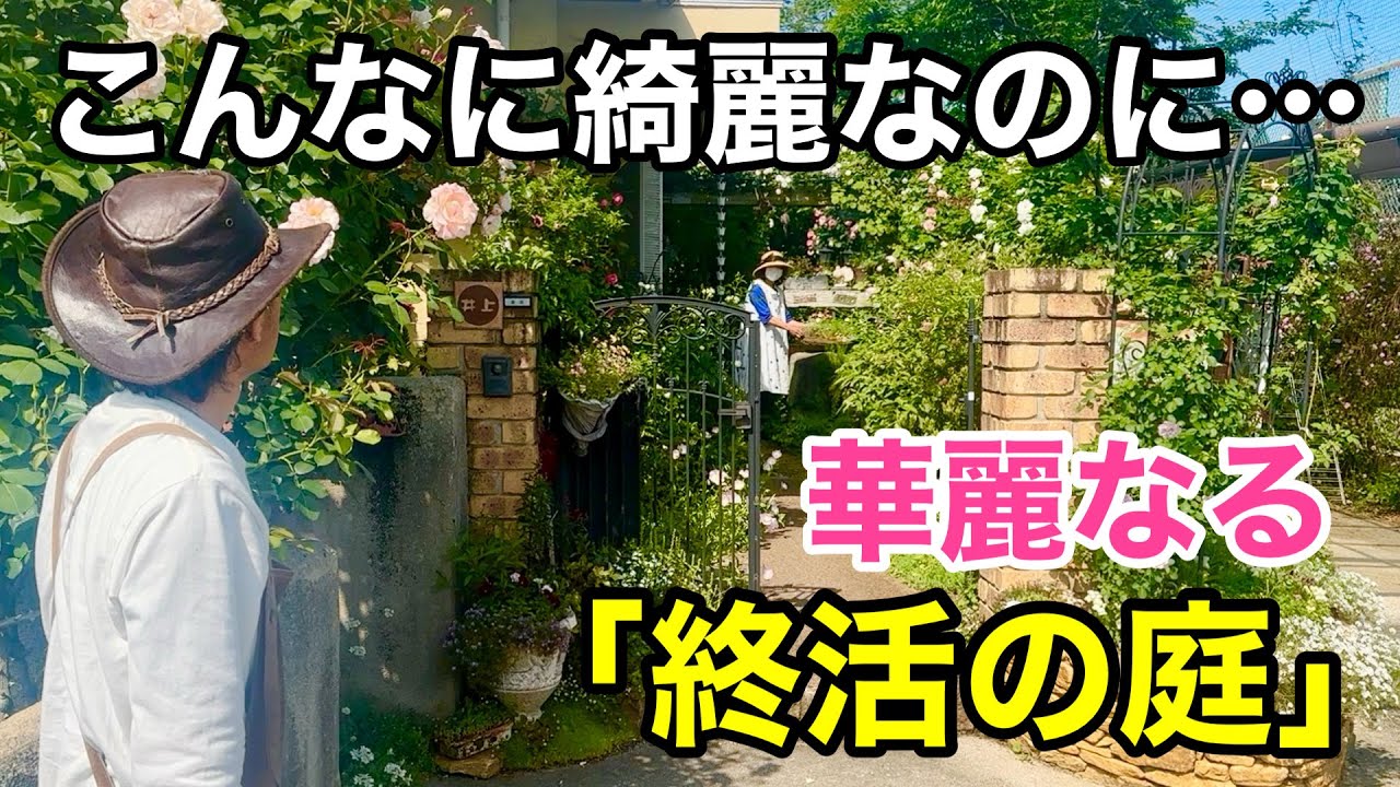 【植物を無くしたい】終活に向けて今この庭がとんでもない事になってます　　　　　　　　【カーメン君】【井上さん】【ガーデニング】【初心者】