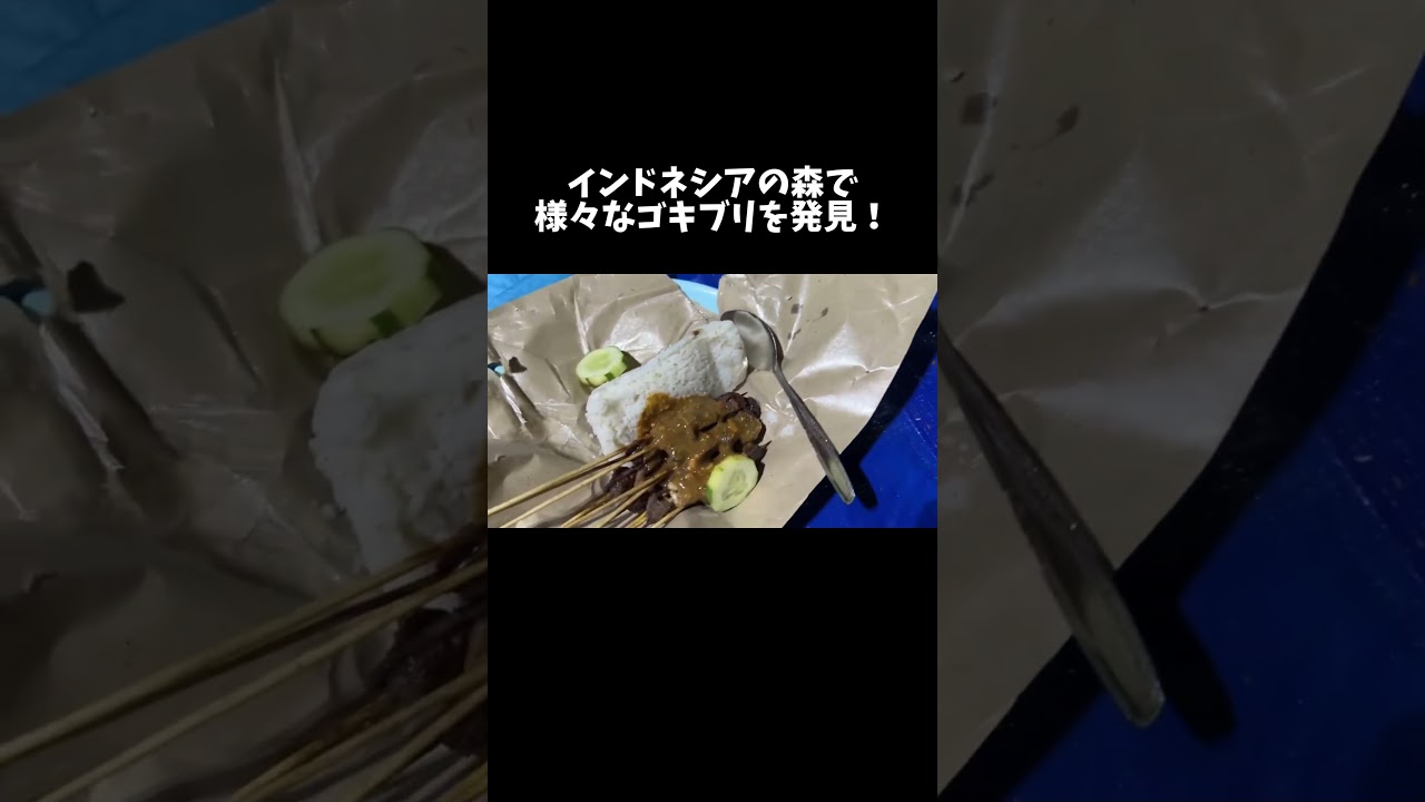 インドネシアの森で野宿したら… #shorts