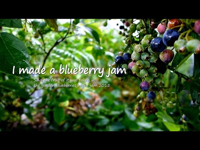 手作りブルーベリージャム I made a blueberry jam