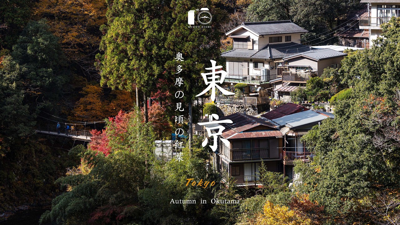 【東京の秘境】知られざる奥多摩の紅葉。晩秋の絶景｜奥多摩