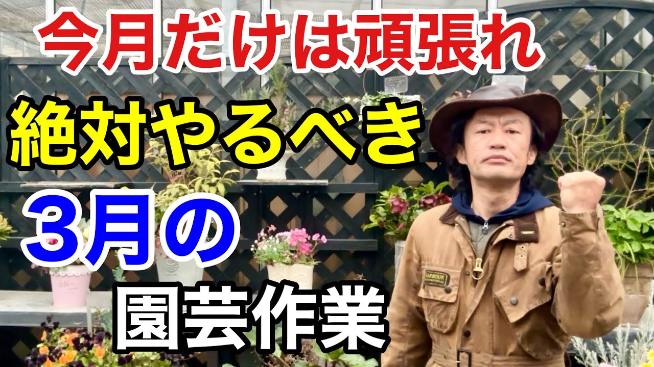 【まるわかり】この作業は今月中に必ずやって下さい　　【カーメン君】【園芸】【ガーデニング】【初心者】