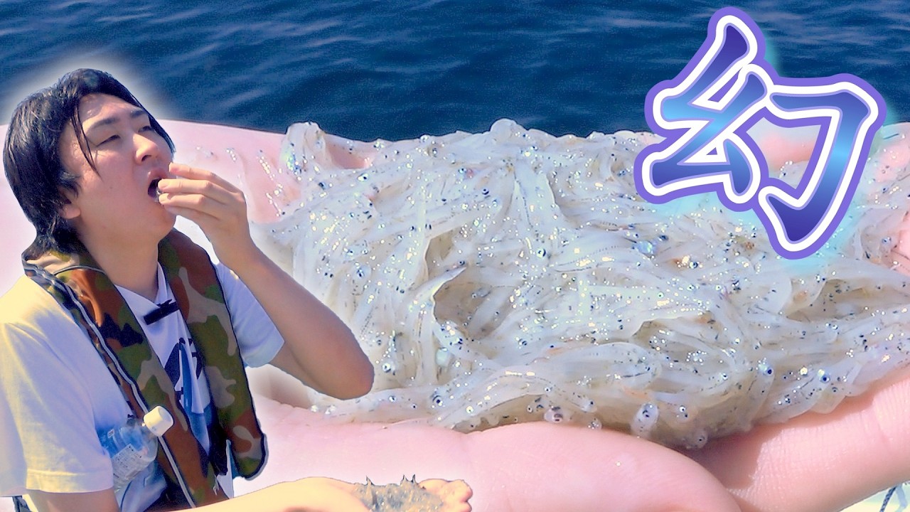 【四国遠征】幻の〇〇を求めて・・・！