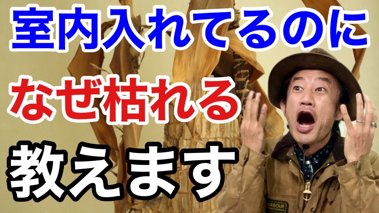 【浅はかはダメ】実は間違った防寒対策教えます　　　【カーメン君】【初心者】