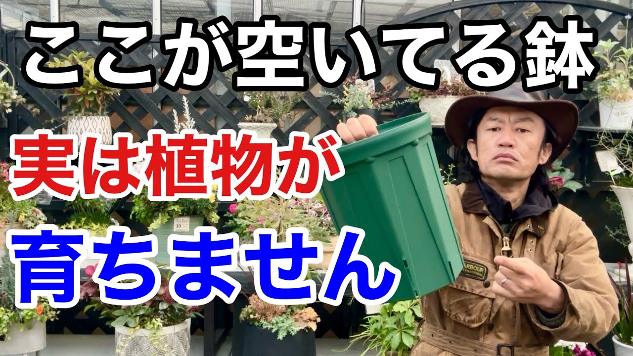 【残念なお知らせ】植物が育つスリット鉢使い方間違えてます。　　【カーメン君】【園芸】【スリットポット】【兼弥産業】