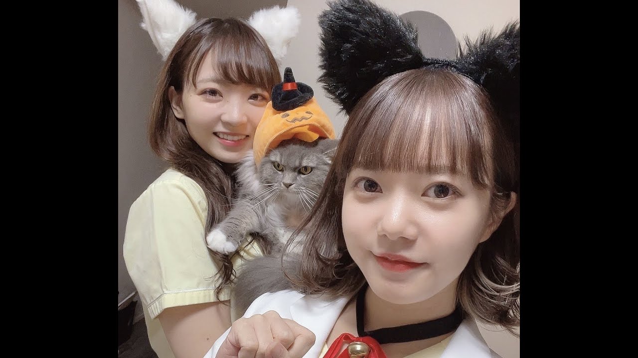 猫耳ハロウィンパーティー【No1コスプレ選手権】