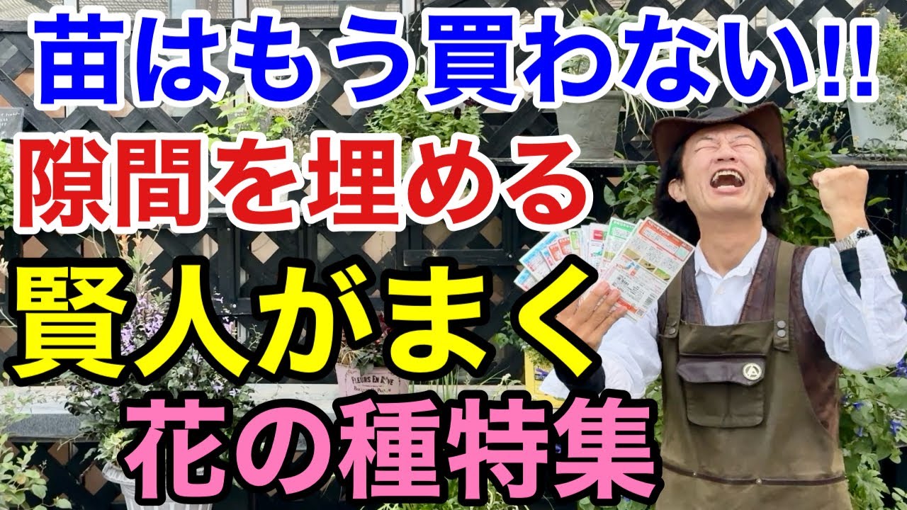 【ワンランク上がる】空いてる場所におすすめの花の種教えます　【カーメン君】【園芸】【ガーデニング】【初心者】