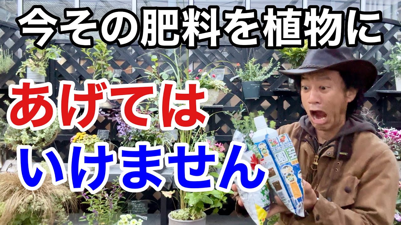 【注意喚起】直ちにお手持ちの肥料を見直して下さい　　　　　【カーメン君】【園芸】【ガーデニング】【初心者】