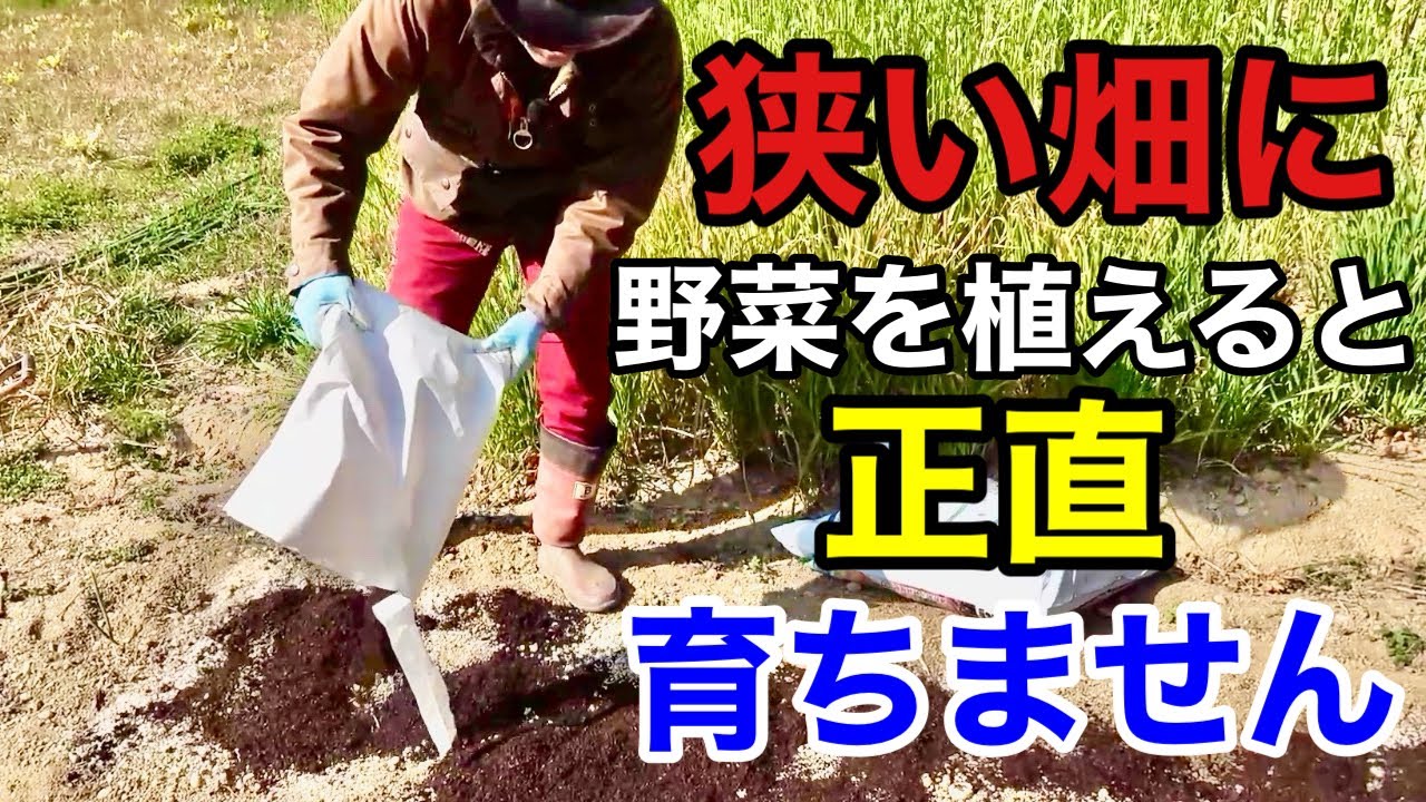 【ここで失敗する】ワンランク上の土づくりで解決できます　【カーメン君】【連作障害】【家庭菜園】【初心者】