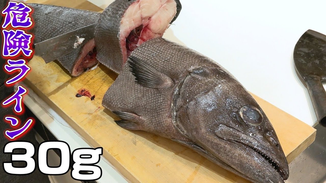 【懲りない男】もう分かってるのに、バラムツをまた食べました。