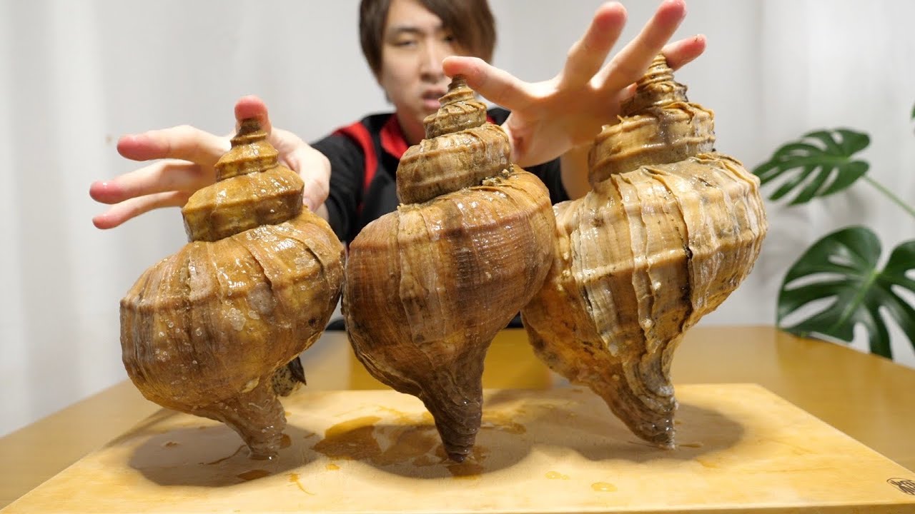 何年生きたらここまで？・・・おばけつぶ貝を叩き割って、活け造り！