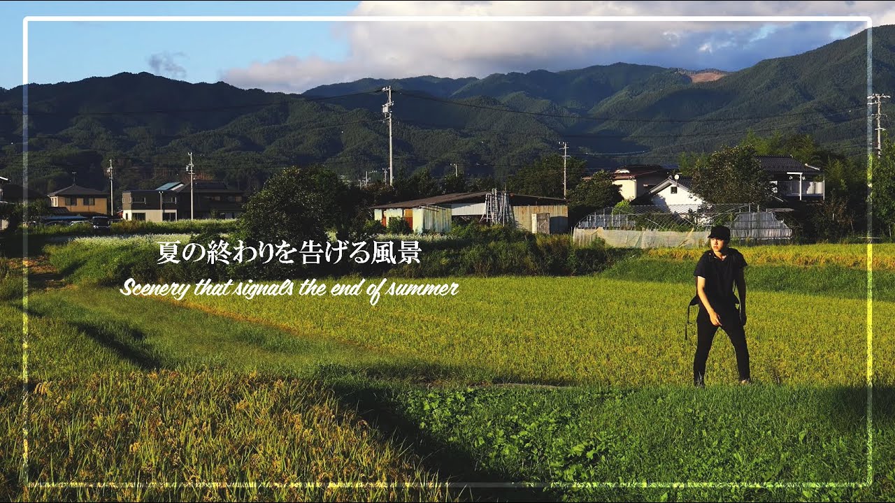 田舎の晩夏 - 秋の気配 | 4K日本の風景 | Vlog