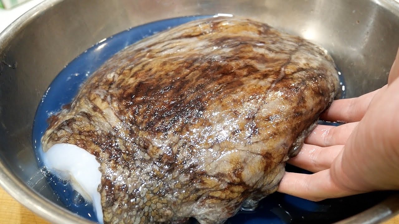 初めて行く市場ですごい魚介を発見！！！