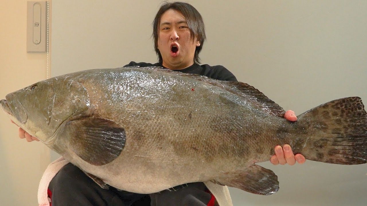 車が買えるくらいの値段の『幻の魚』のお味はいかに！？【カスリハタ】