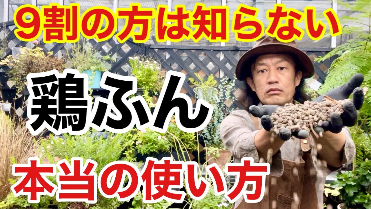 【みんなが使わない】鶏ふん実は激安のスーパー肥料です　　　　【カーメン君】【園芸】【ガーデニング】【初心者】【鶏糞】