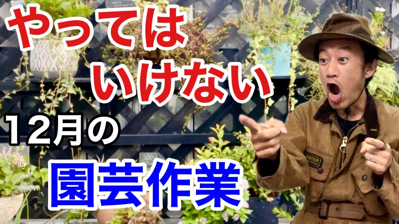 【それはダメです】12月の園芸作業にはご注意下さい　　　　【カーメン君】【園芸作業】