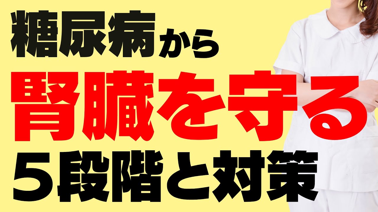 糖尿病で腎臓が悪くなるのを阻止しよう！糖尿病性腎症の透析までの５つの段階と予防策を解説します。