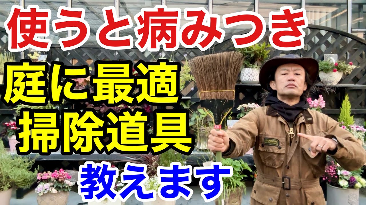 【目からウロコ】掃除道具を変えると劇的に庭が綺麗になります　　　　　【カーメン君】【園芸】【ガーデニング】【初心者】