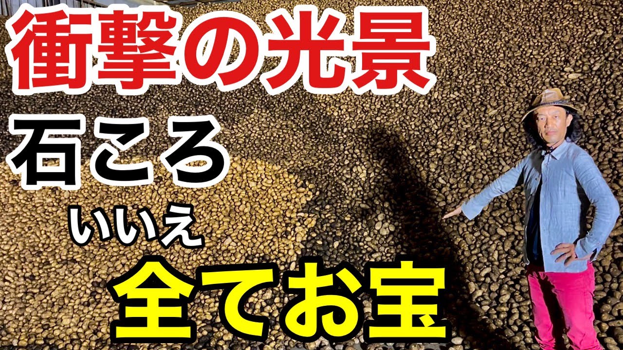【in北海道】 ガーデニングに参入してきたカルビーさんがヤバい                               【カーメン君】【園芸】【ガーデニング】【初心者】
