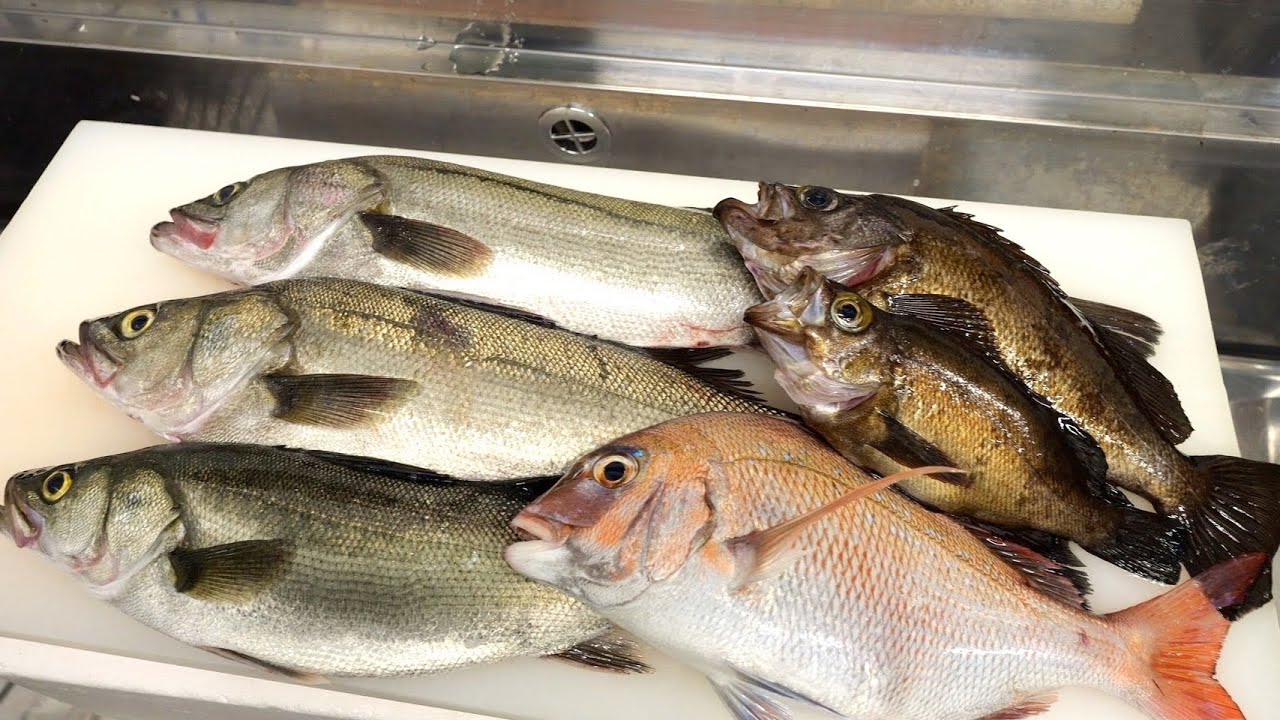 1尾30円のエビでこんな釣れちゃいましたw