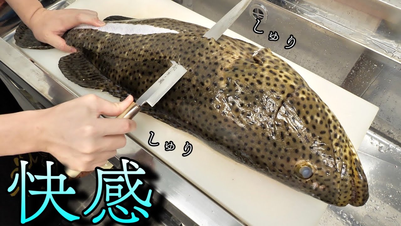 クエよりうまい高級すぎる魚が買えてしまいました。
