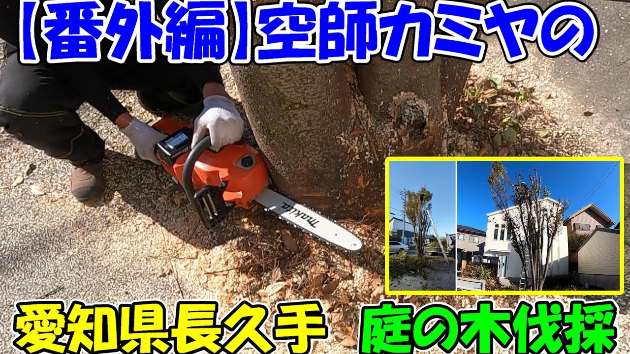 【番外編】空師カミヤの愛知県長久手で庭の木（ケヤキ）伐採！レシプロ、電動剪定バサミが大活躍