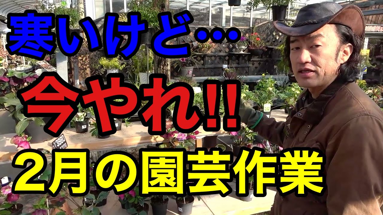 【やれば報われる】もうすぐ春ですよ！今やるべき作業教えます　　【園芸】【ガーデニング】【初心者】