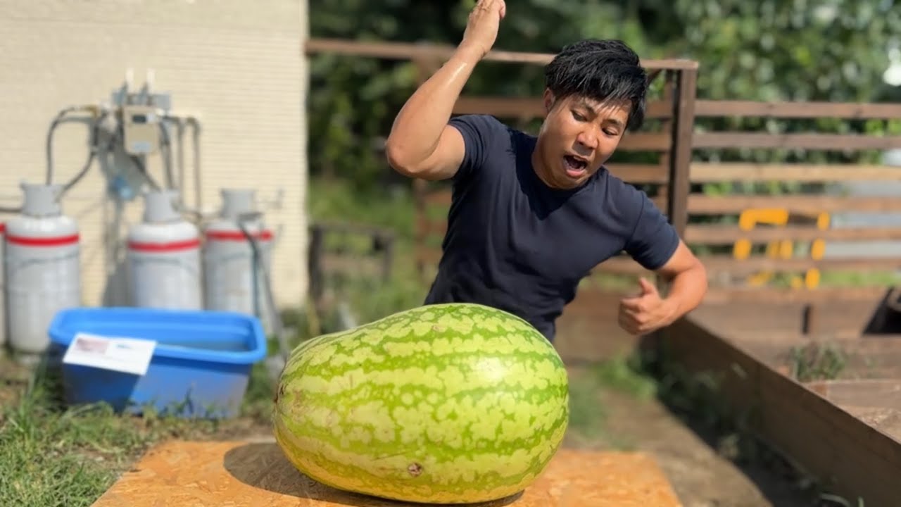 日本一大きいスイカを手刀で割る男