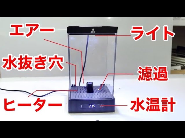 海外の最新型オールインワン水槽を取り寄せてみた結果・・・！