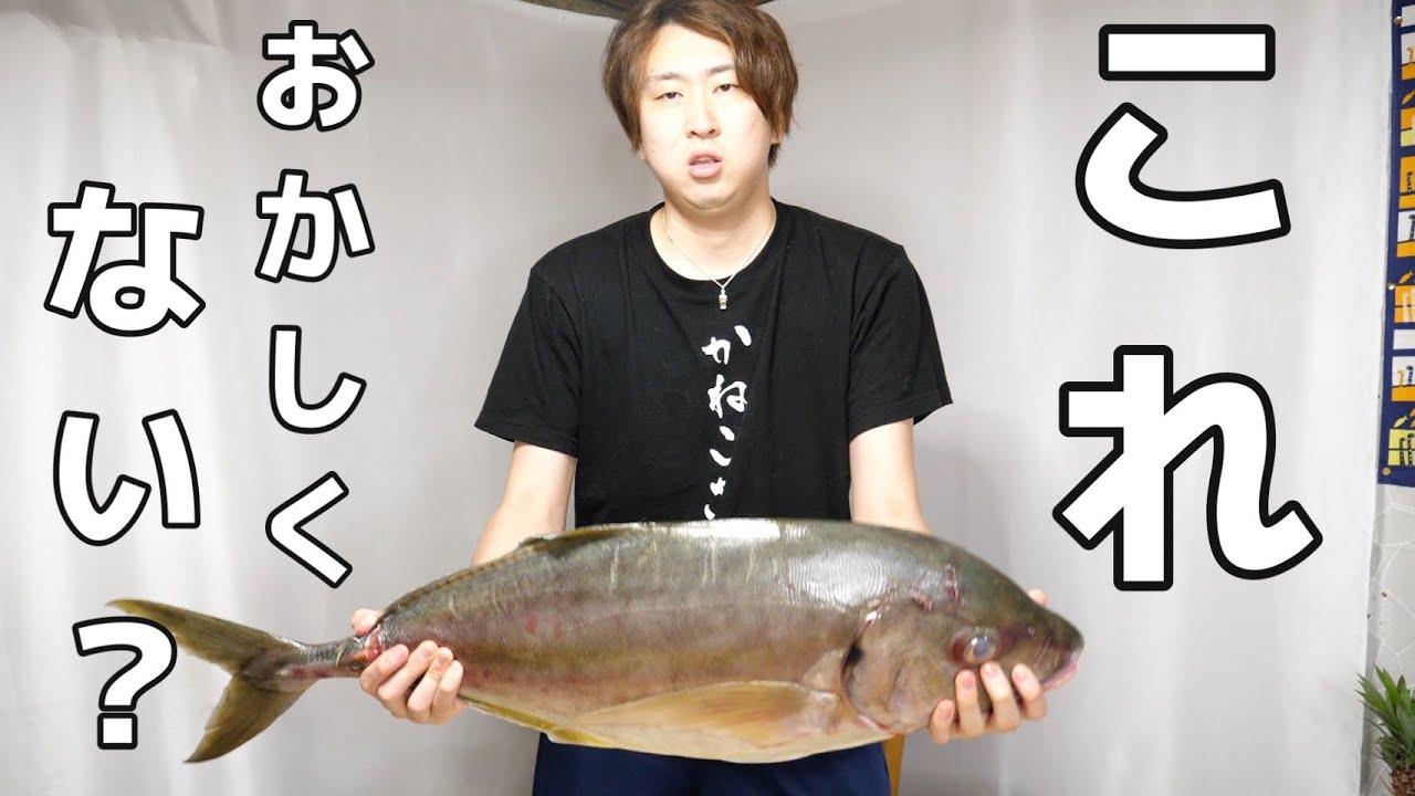 ありえないくらいに肥大化したアジ。このサイズはきまぐれクックも初めて見ました